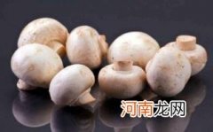 孕妇草菇食谱