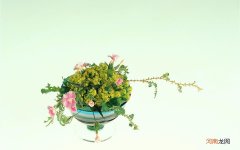 血糖多少算正常 血糖胰岛素c肽数值0.67