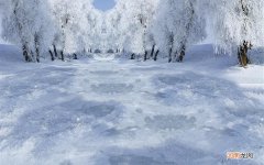 医院里针灸医生都是什么职位 针灸杨真海简历
