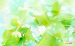 50岁的女人每天喝什么奶粉好 50岁喝什么奶粉好