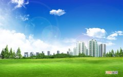 三文鱼和其他鱼类相比有什么不一样的营养价值 吃三文鱼对肾好吗