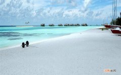 吃什么治白发最有效 吃5种食物白头发变黑