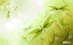 平时常喝什么茶可以对肾功能起到保健作用 治疗脾肾的茶饮