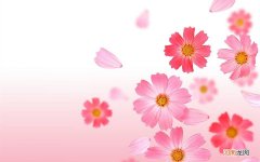 蜂蜜喝多的话会发胖吗 蜂蜜喝多了会不会胖