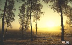 你们家里会经常备解酒片吗 解酒片对身体有害吗