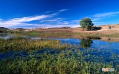 谢娜代言的绿瘦有用吗 绿瘦减肥药的副作用