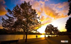 我对你一见钟情用古文说 描写一见钟情的句子