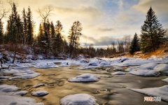尿酸高会导致身体产生哪些症状 女尿酸高早期症状