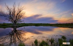 什么食物可以刺激胰岛素的分泌 什么食物里面有胰岛素