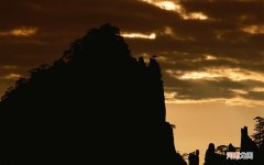 如何向喜欢的人表白 表白流程安排