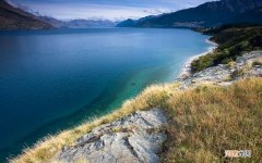 求五谷养生茶的制作方法 五谷杂粮养生粉配方表