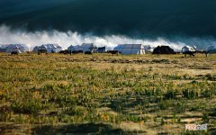 血糖高饮食吃什么好 血糖高要吃些什么食物