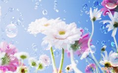 高考的孩子能吃榴莲吗 发烧吃榴莲会怎么样