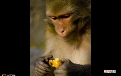 早泄怎样治疗最快 男性不持久怎么办