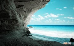 宝宝辅食 宝宝吃鳕鱼的营养价值