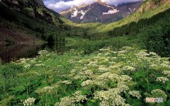 萧山电大成人班有哪些专业 成人快速班都有什么