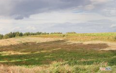 30岁适合干性皮肤的精华品牌 30岁混合偏干护肤品推荐