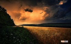 胳膊上总是长出很多的小痘痘 怎样去除手臂上的痘痘