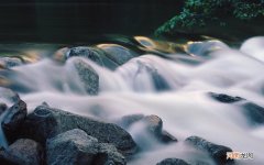 碧色双花猜菜名 有关绿色的菜名