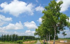 30吨三文鱼的价值 三文鱼价格最新走势