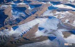 我想知到螃蟹酒怎么泡 蟹酒怎么喝