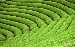 21岁汗蒸伤身体吗 汗蒸对男人的坏处