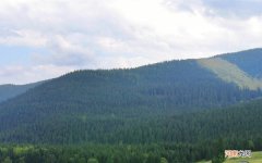 血糖高的人为什么腿痛而且脚面上肿了一大片 糖尿病人腿部浮肿怎么回事