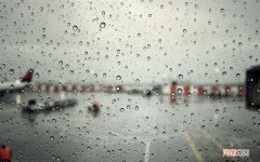 冰糖炖雪梨的做法 冰糖雪梨做法及步骤