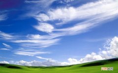 桃子10块一斤贵吗 油桃多少钱一斤