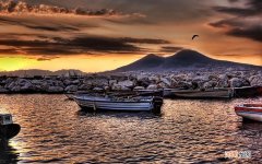 后背的黑色素瘤会死人吗 后背抠出一颗黑色硬物