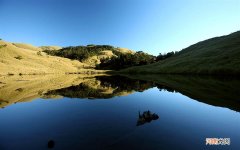 鸡胸肉除了高蛋白低脂肪还有什么 鸡胸肉营养成分含量