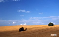 糖尿病患者日常可补充哪些营养物质更好的控制血糖 糖尿病吃什么控制血糖