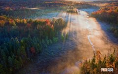 蜂蜜和圆葱一起吃了 蜜糖同什么吃相克