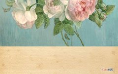 手臂上的毛囊炎该怎么治疗 手臂上的毛囊炎图片