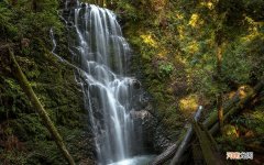 打鼾特别厉害吃什么药可以治疗 治打呼噜止鼾的药