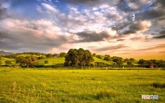 豆腐萝卜汤8种家常做法 白萝卜汤的做法大全