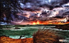 手上长的瘊子属于什么病 去掉手上猴子的妙招