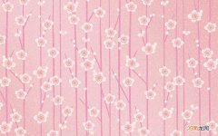 vc什么时候用比较好 睡前吃维生素c每天一片