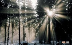 用了宾馆的床单毛巾和厕纸会得艾滋病么 hiv能在卫生纸上附着吗