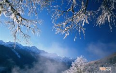 尖锐湿疣真的能自愈吗 得了尖锐湿疣我能治愈吗