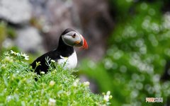 醉酒后呕吐怎么办 醉酒吐黄胆水怎么办