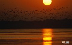 面部护理朋友圈文案 定期做皮肤管理的好处句子