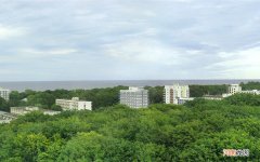 喝了蜂蜜水后可以吃鸡蛋么 蜂蜜能不能跟鸡蛋同食