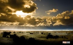 喝酒了吃什么早餐好 晚上喝酒第二天早上做的早餐