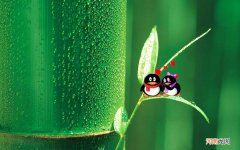 给在一起的女朋友写了一封情书 情人节写给女朋友的浪漫情书