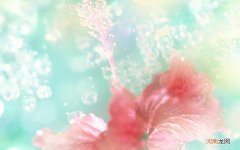 好的护肤品真的有效吗 挑选护肤品的重要性