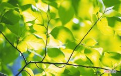 肾结石和高血压有关系吗 肾结石中医辨证分析