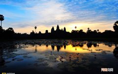 新鲜牛奶羊奶怎么喝才健康 鲜羊奶可以长期喝吗