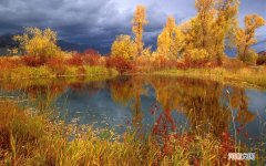 肾气丸的价格是多少 金匮肾气丸为啥禁房欲