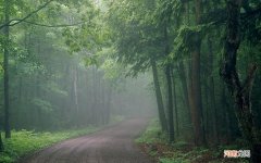 三文鱼肉色越深越好吗 三文鱼多肉